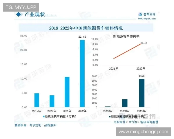 深圳篮球队实力分析与数据解读：赛季表现全面剖析与未来展望